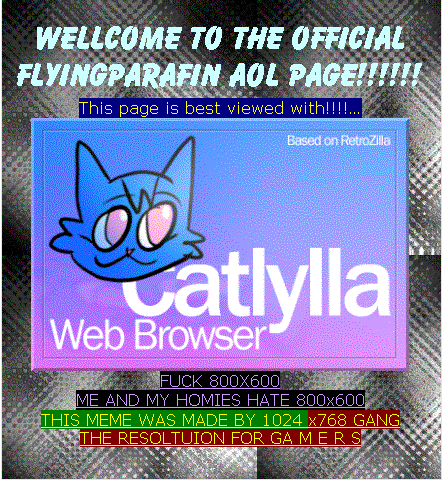 Text Box: WELLCOME TO THE OFFICIAL FLYINGPARAFIN AOL PAGE!!!!!!
This page is best viewed with!!!!�
 
FUCK 800X600
ME AND MY HOMIES HATE 800x600
THIS MEME WAS MADE BY 1024 x768 GANG
THE RESOLTUION FOR GA M E R S  
